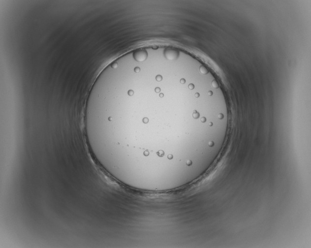 X0000110980953200906191047