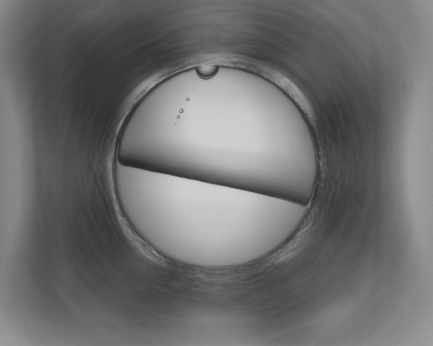 X0000110980954200906191048