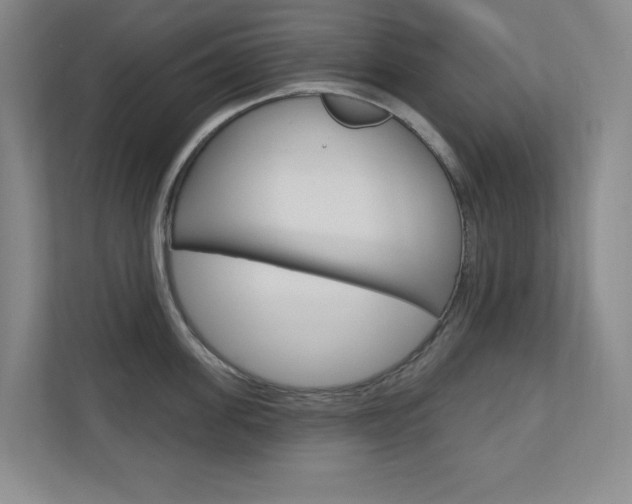 X0000110980955200906191048