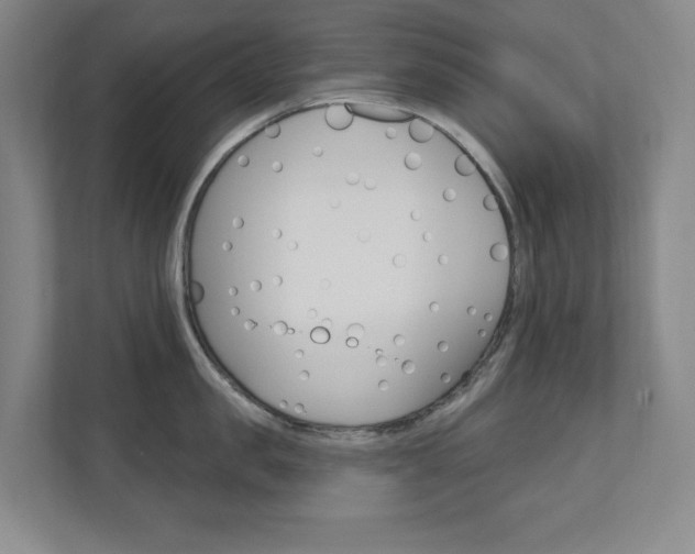 X0000110980957200906191048