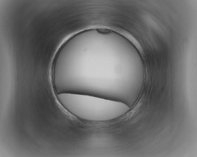 X0000110980958200906191048
