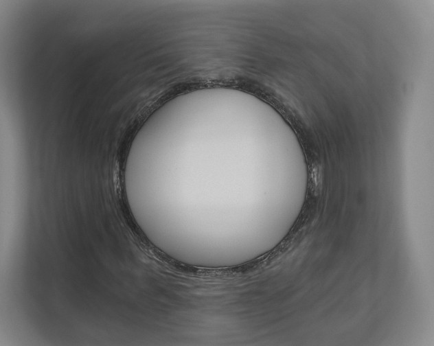 X0000110980963200906191047