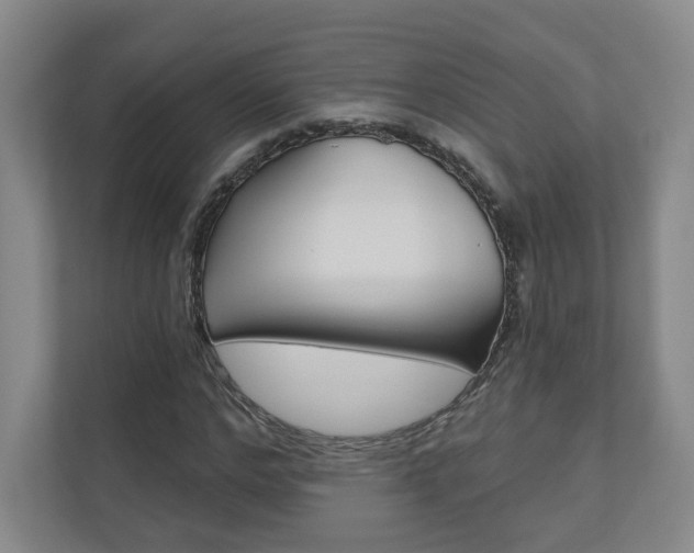 X0000110980968200906191047
