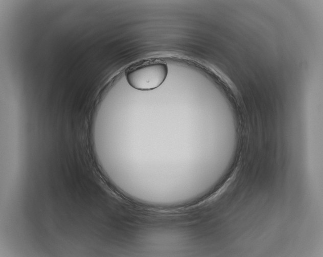 X0000110980969200906191047