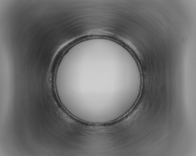 X0000110980971200906191047