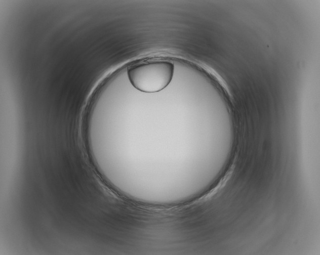 X0000110980973200906191047
