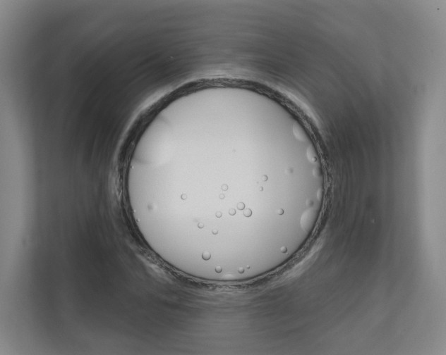 X0000110980974200906191047