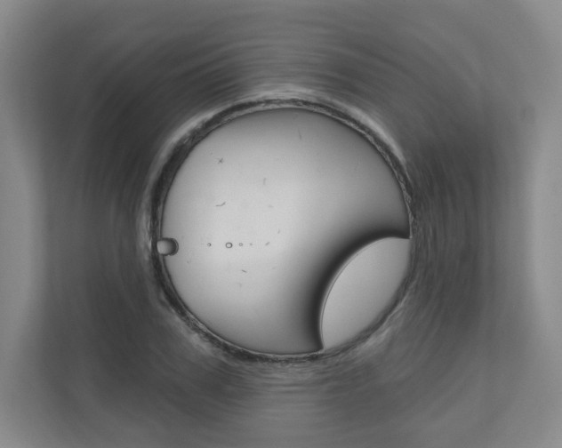 X0000110980979200906191047