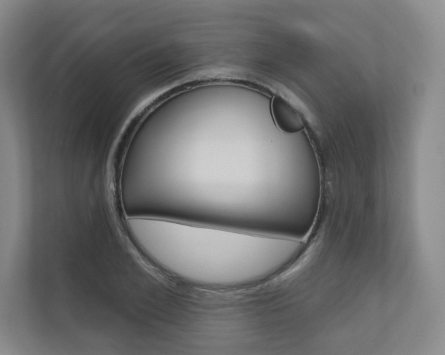 X0000110980981200906191047