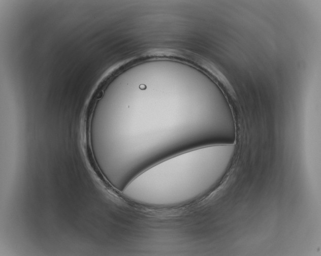 X0000110980984200906191047