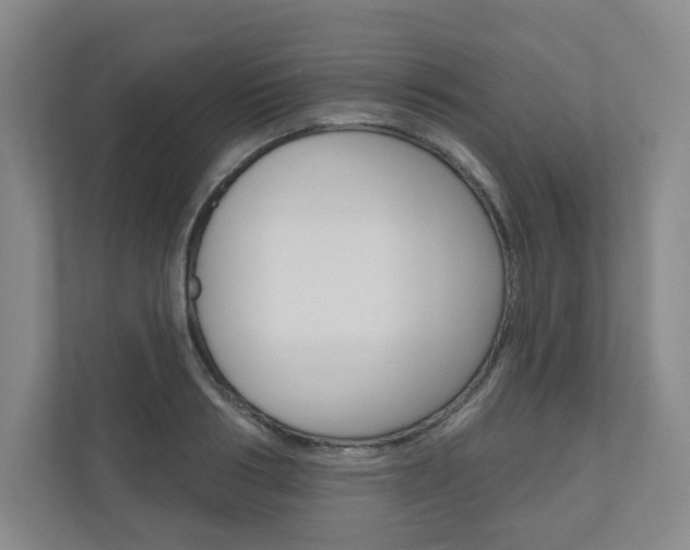 X0000110980986200906191047
