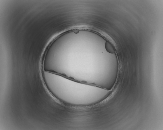 X0000110980989200906191047