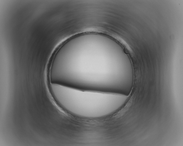 X0000110980991200906191047