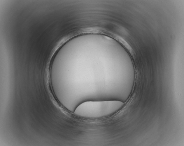 X0000110980994200906191047