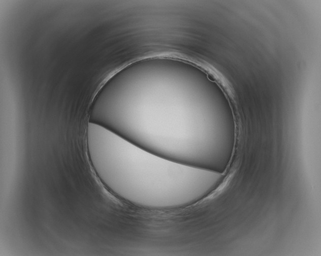 X0000110981001200906191046