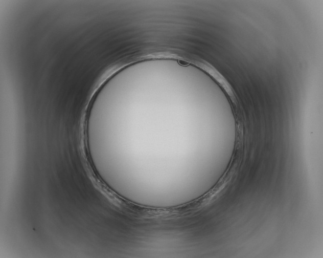 X0000110981002200906191046