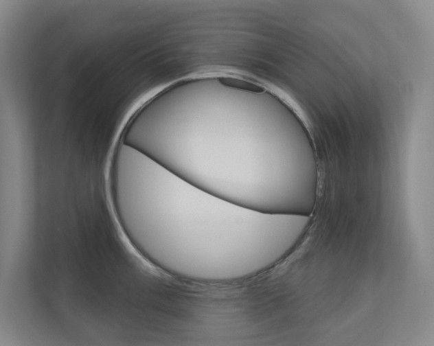 X0000110981003200906191046