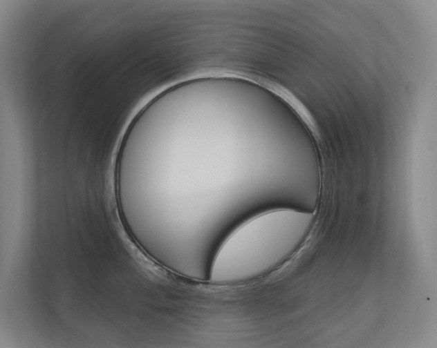 X0000110981004200906191046