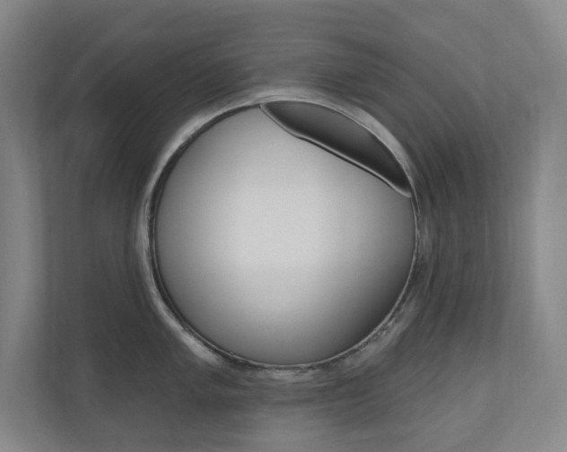 X0000110981005200906191046