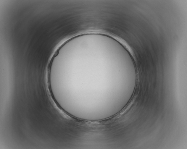 X0000110981006200906191046