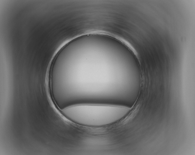 X0000110981007200906191046