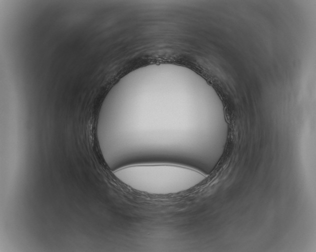 X0000110981010200906191046