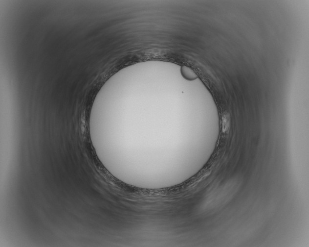 X0000110981011200906191046
