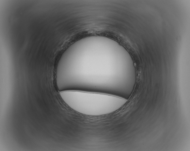 X0000110981012200906191046