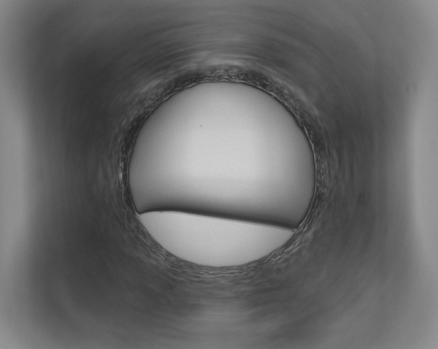 X0000110981013200906191046