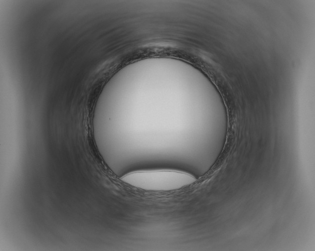 X0000110981014200906191046