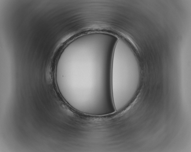 X0000110981018200906191046