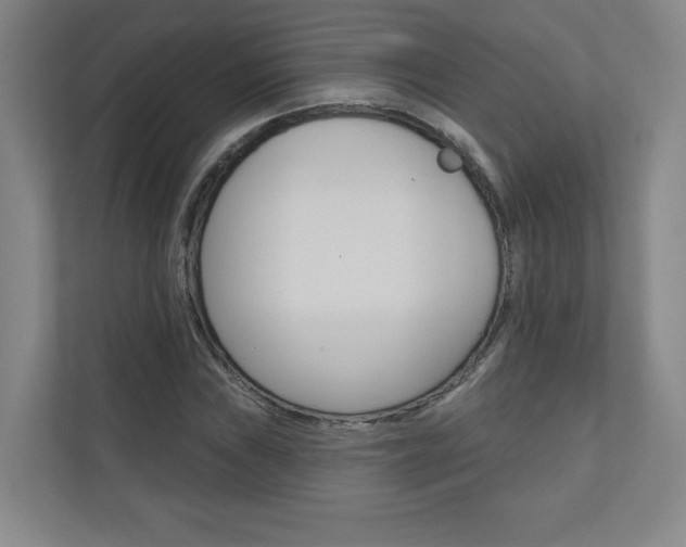 X0000110981019200906191046