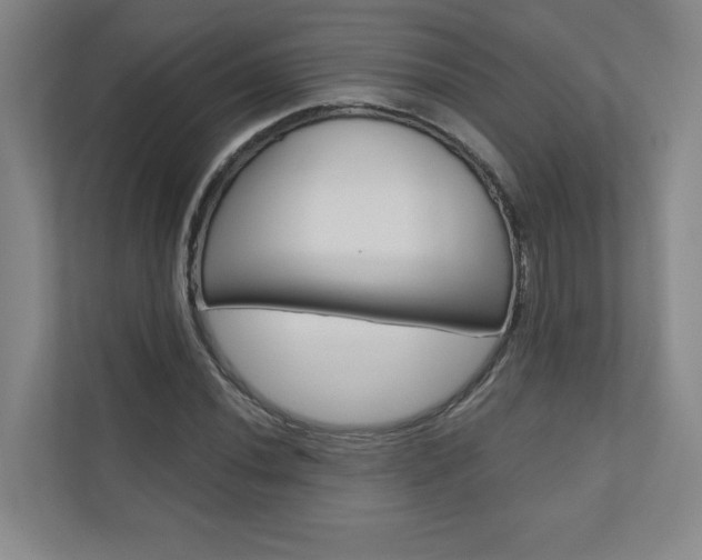 X0000110981020200906191046