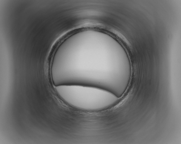X0000110981021200906191046