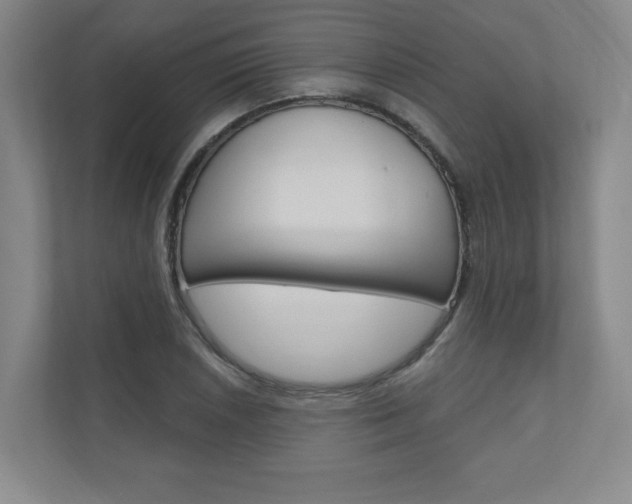 X0000110981026200906191046