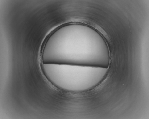 X0000110981028200906191046