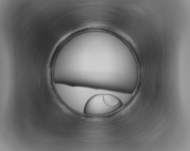 X0000110981029200906191046