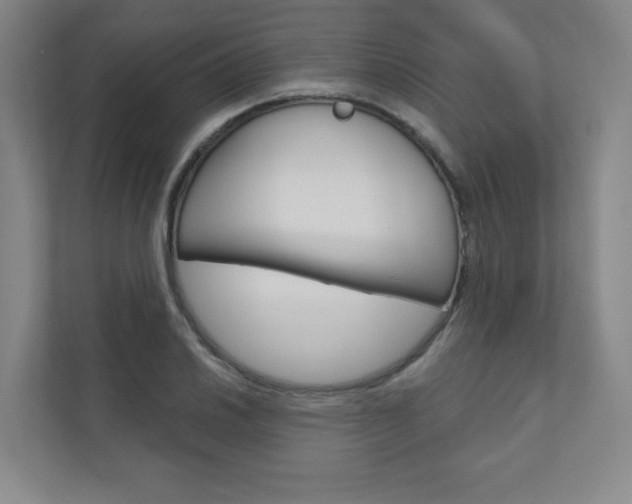 X0000110981030200906191046