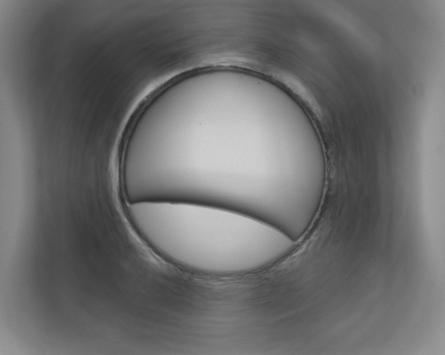 X0000110981032200906191046