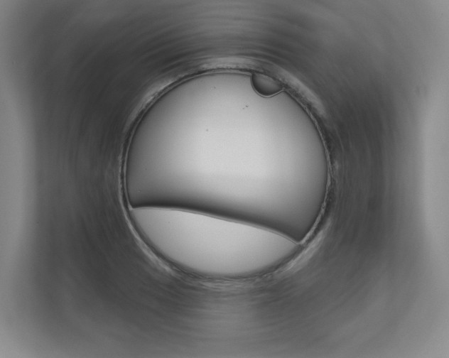 X0000110981033200906191046