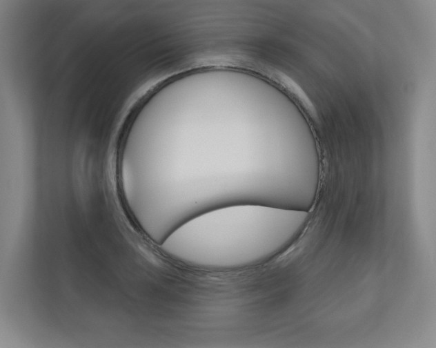 X0000110981035200906191046