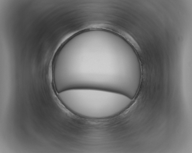 X0000110981036200906191046