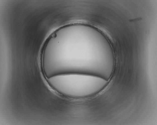 X0000110981038200906191046