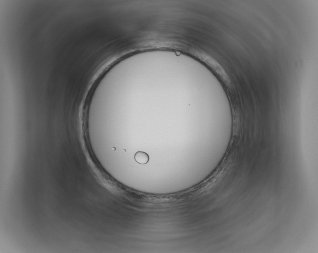 X0000110981039200906191046