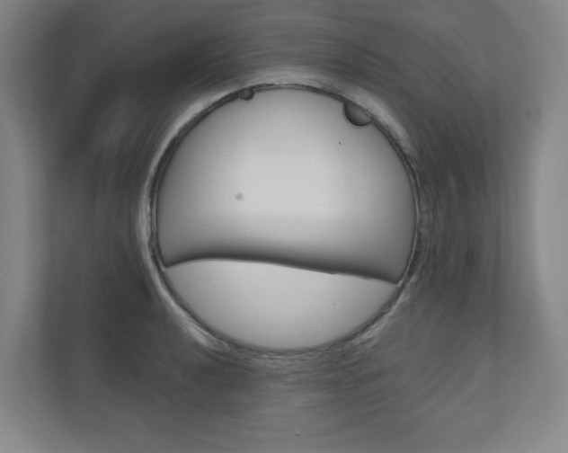 X0000110981040200906191046