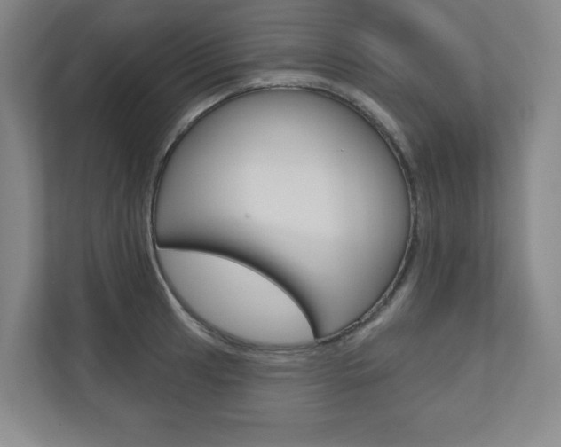 X0000110981041200906191046