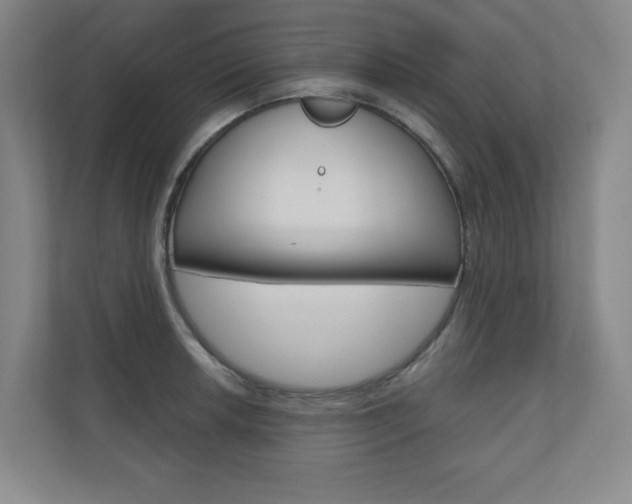 X0000110981042200906191046