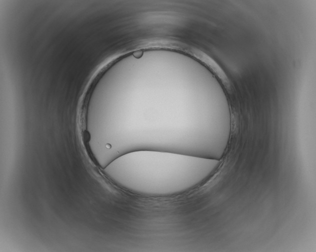 X0000110981043200906191046