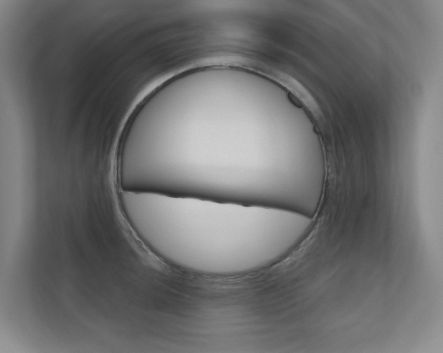 X0000110981044200906191046