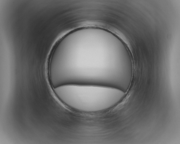 X0000110981045200906191046